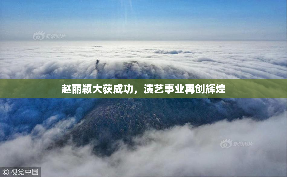 赵丽颖大获成功，演艺事业再创辉煌