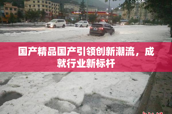 国产精品国产引领创新潮流，成就行业新标杆