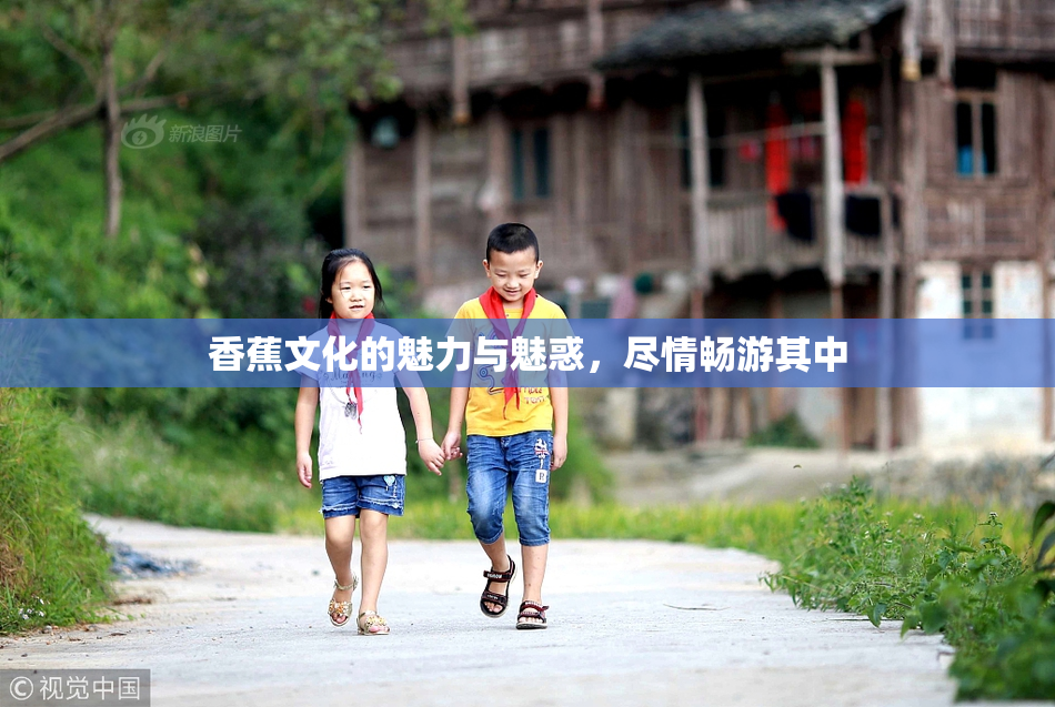 香蕉文化的魅力与魅惑，尽情畅游其中