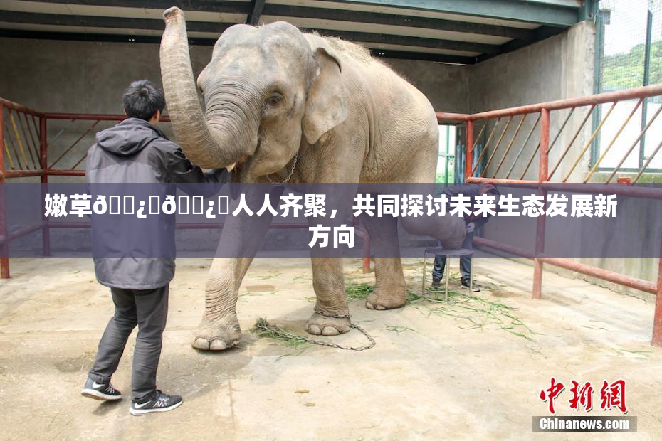 嫩草🌿‌🌿‌人人齐聚，共同探讨未来生态发展新方向