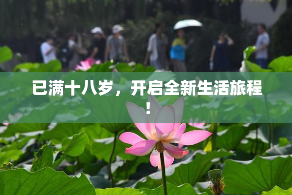 已满十八岁，开启全新生活旅程！