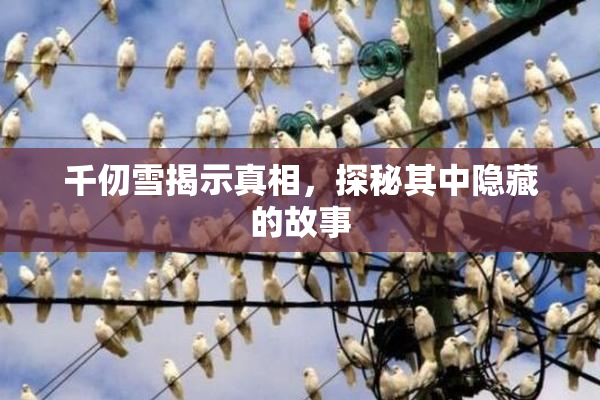 千仞雪揭示真相，探秘其中隐藏的故事