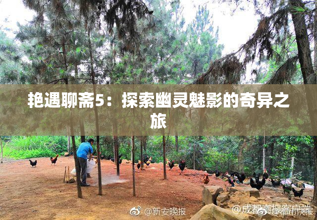 艳遇聊斋5：探索幽灵魅影的奇异之旅