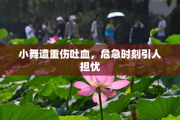小舞遭重伤吐血，危急时刻引人担忧
