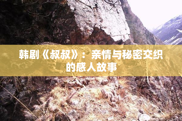 韩剧《叔叔》：亲情与秘密交织的感人故事