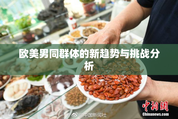 欧美男同群体的新趋势与挑战分析