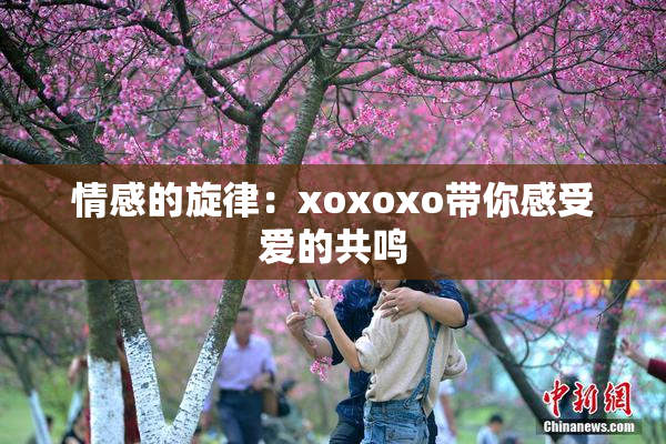 情感的旋律：xoxoxo带你感受爱的共鸣