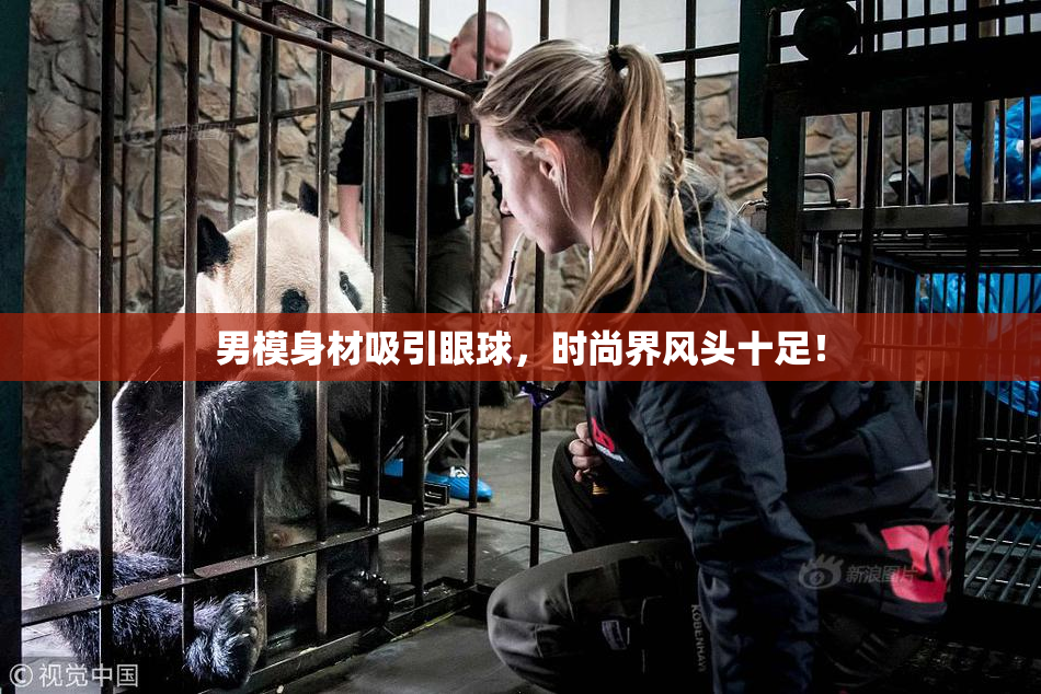 男模身材吸引眼球，时尚界风头十足！