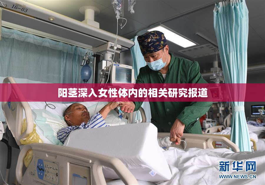 阳茎深入女性体内的相关研究报道