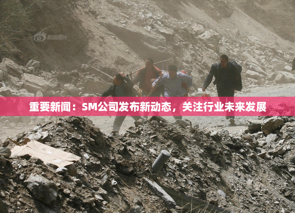 重要新闻：SM公司发布新动态，关注行业未来发展