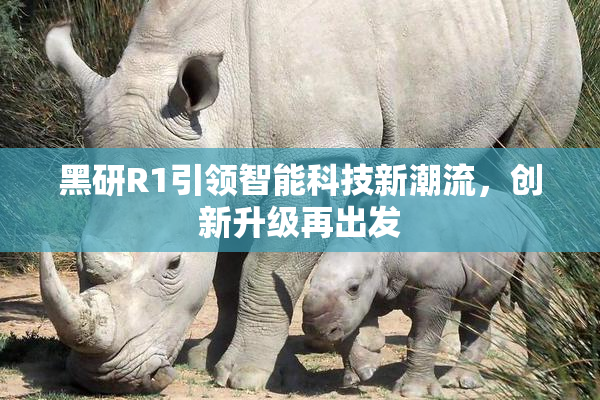 黑研R1引领智能科技新潮流，创新升级再出发