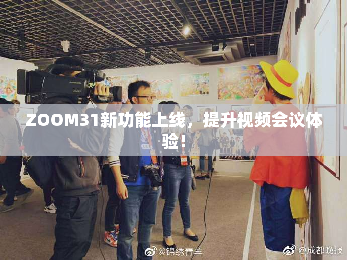 ZOOM31新功能上线，提升视频会议体验！