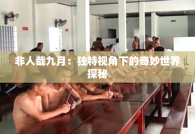 非人哉九月：独特视角下的奇妙世界探秘