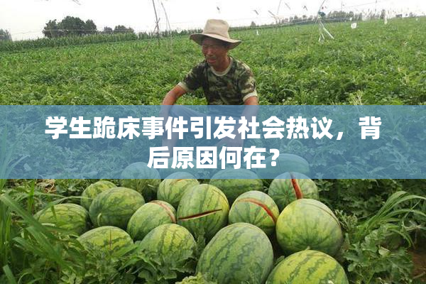 学生跪床事件引发社会热议，背后原因何在？