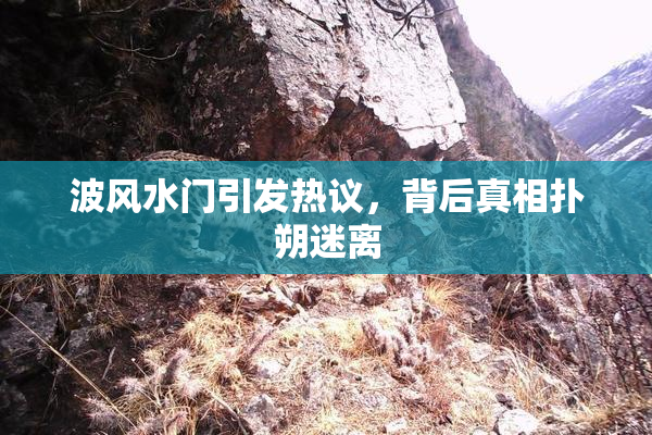 波风水门引发热议，背后真相扑朔迷离