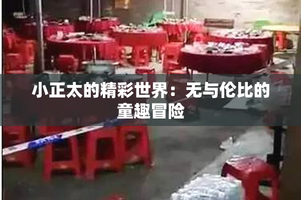 小正太的精彩世界：无与伦比的童趣冒险
