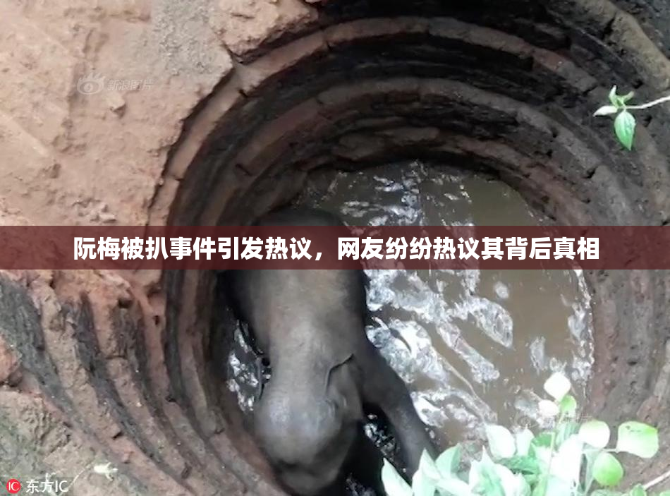 阮梅被扒事件引发热议，网友纷纷热议其背后真相