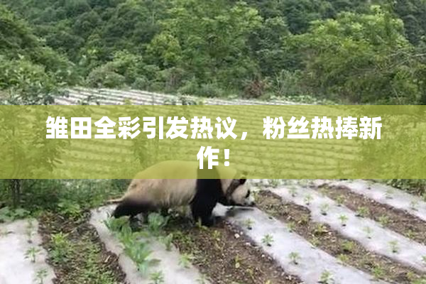 雏田全彩引发热议，粉丝热捧新作！