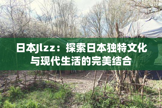 日本Jlzz：探索日本独特文化与现代生活的完美结合