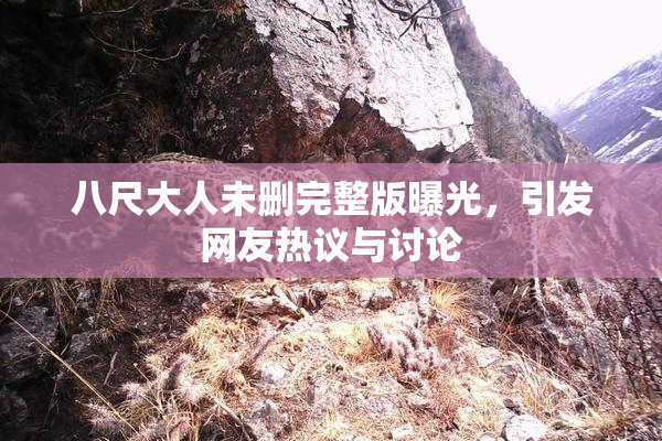 八尺大人未删完整版曝光，引发网友热议与讨论