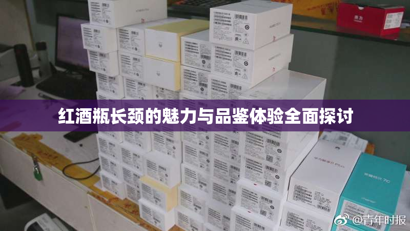 红酒瓶长颈的魅力与品鉴体验全面探讨