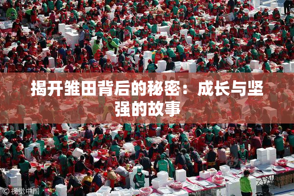揭开雏田背后的秘密：成长与坚强的故事