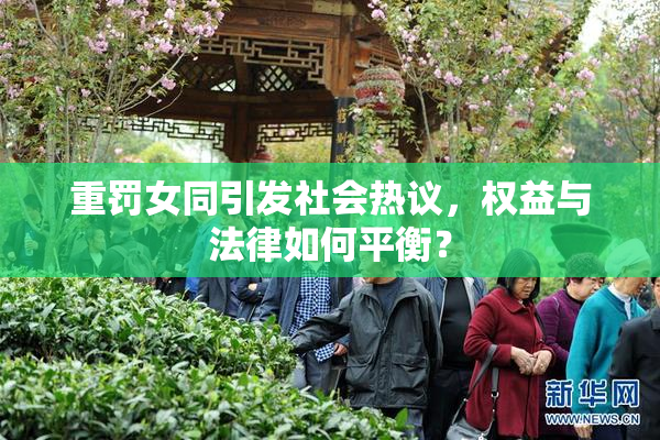 重罚女同引发社会热议，权益与法律如何平衡？