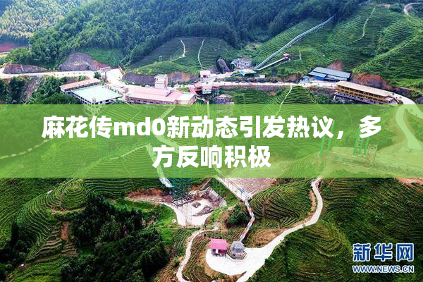 麻花传md0新动态引发热议，多方反响积极