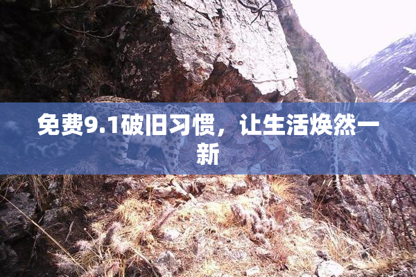 免费9.1破旧习惯，让生活焕然一新