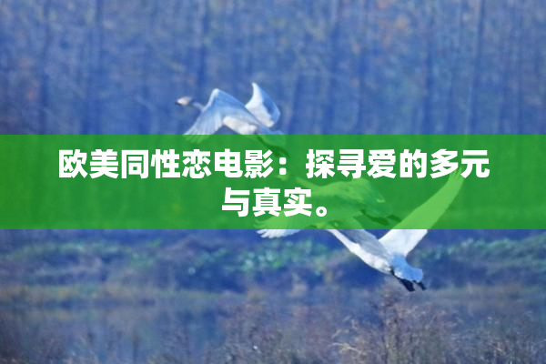 欧美同性恋电影：探寻爱的多元与真实。