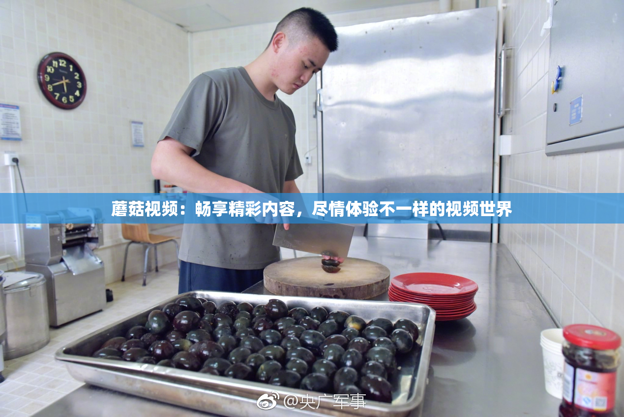 蘑菇视频：畅享精彩内容，尽情体验不一样的视频世界