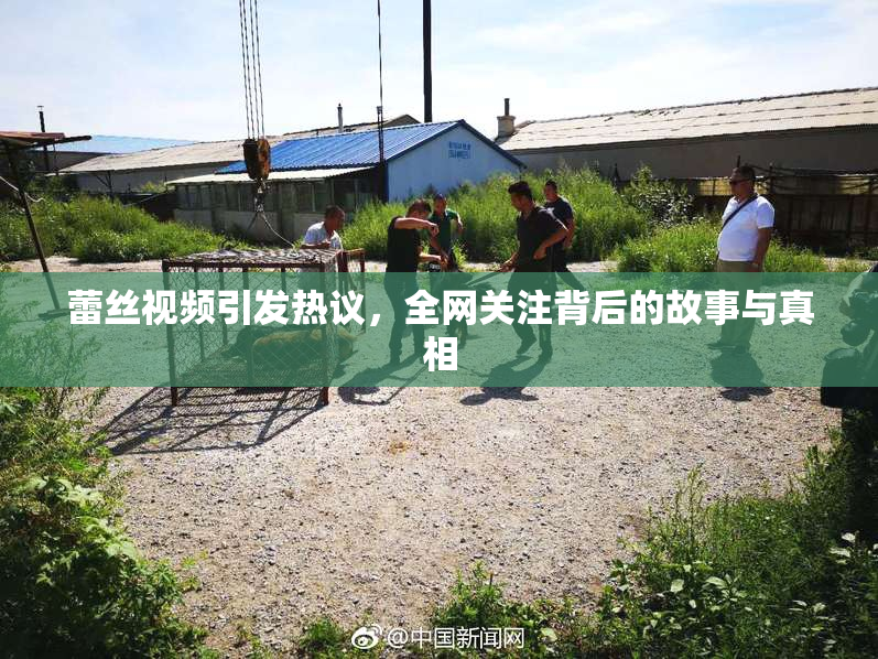 蕾丝视频引发热议，全网关注背后的故事与真相