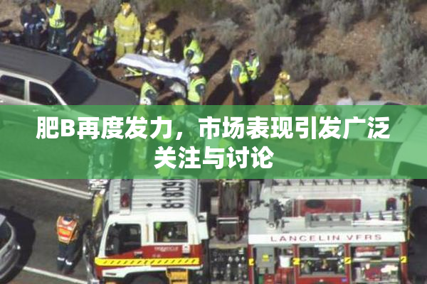 肥B再度发力，市场表现引发广泛关注与讨论