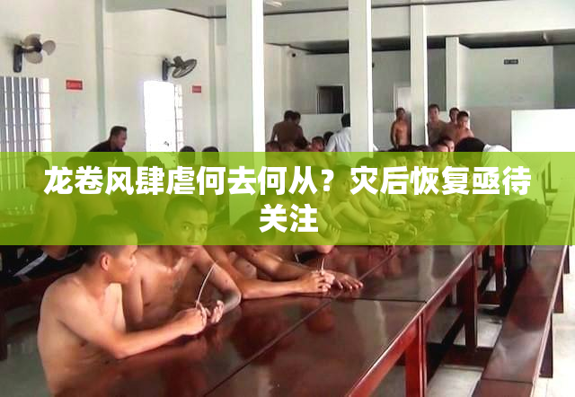 龙卷风肆虐何去何从？灾后恢复亟待关注