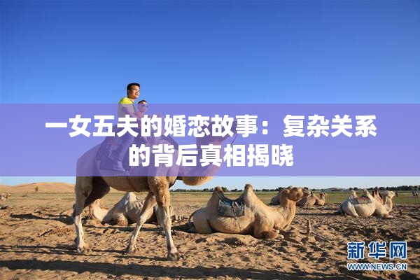 一女五夫的婚恋故事：复杂关系的背后真相揭晓