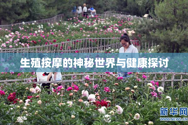 生殖按摩的神秘世界与健康探讨