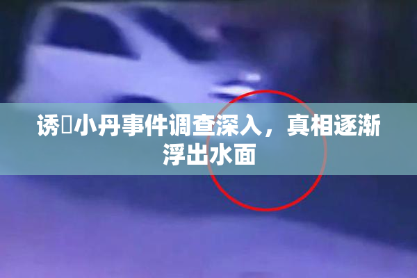 诱奷小丹事件调查深入，真相逐渐浮出水面