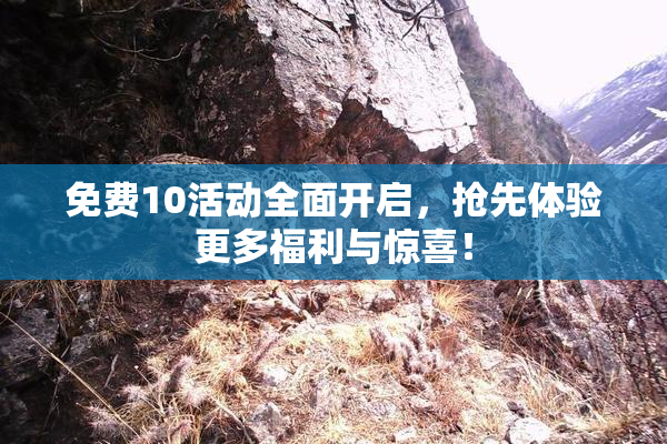 免费10活动全面开启，抢先体验更多福利与惊喜！