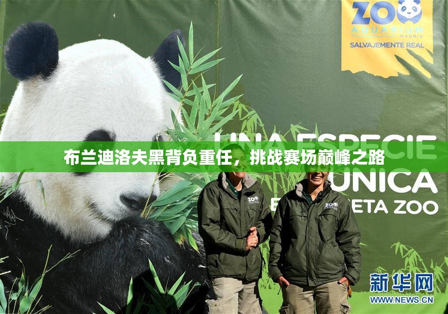 布兰迪洛夫黑背负重任，挑战赛场巅峰之路