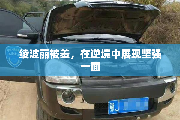 绫波丽被羞，在逆境中展现坚强一面