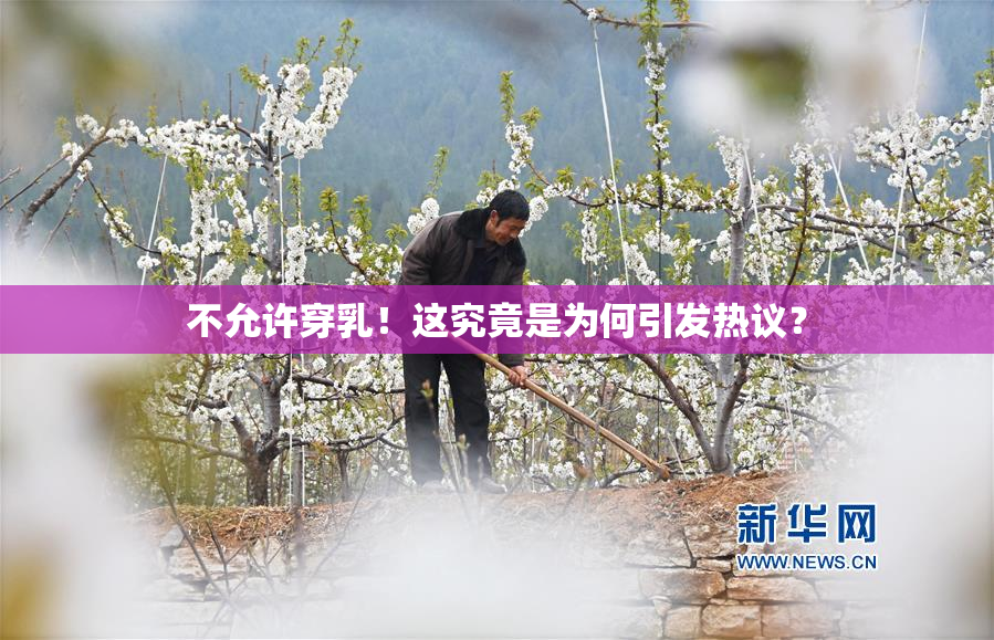 不允许穿乳！这究竟是为何引发热议？