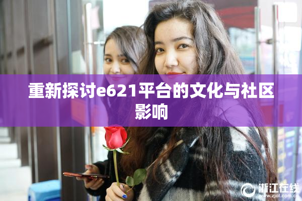 重新探讨e621平台的文化与社区影响