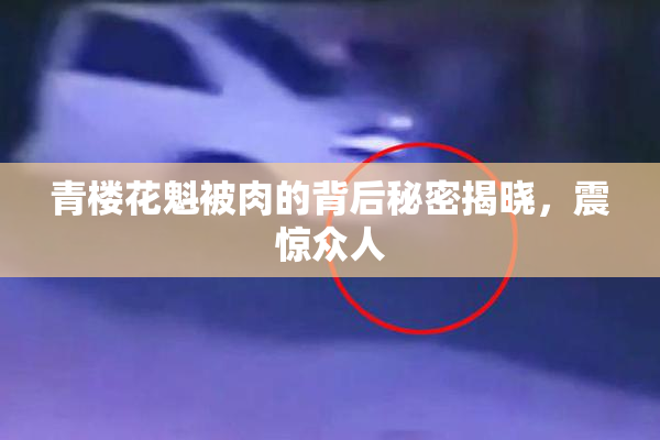 青楼花魁被肉的背后秘密揭晓，震惊众人