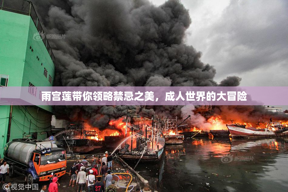 雨宫莲带你领略禁忌之美，成人世界的大冒险