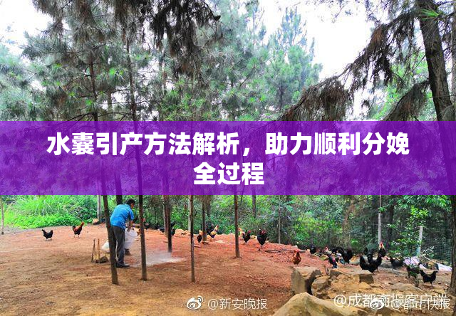 水囊引产方法解析，助力顺利分娩全过程