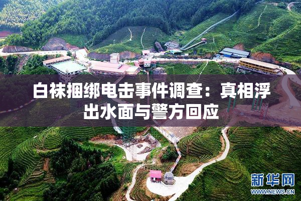 白袜捆绑电击事件调查：真相浮出水面与警方回应