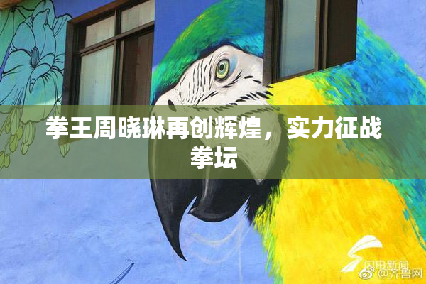 拳王周晓琳再创辉煌，实力征战拳坛
