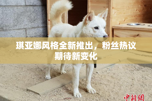琪亚娜风格全新推出，粉丝热议期待新变化