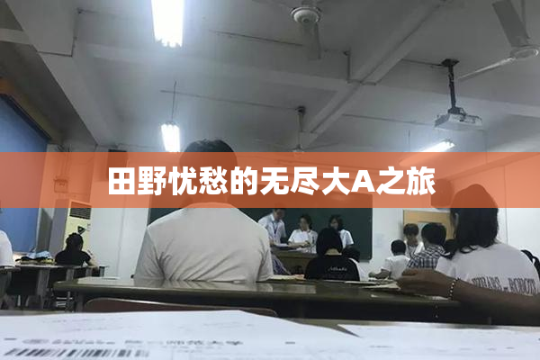 田野忧愁的无尽大A之旅