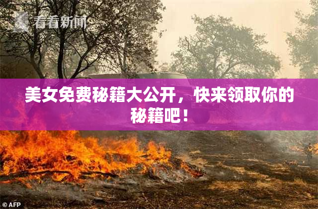美女免费秘籍大公开，快来领取你的秘籍吧！